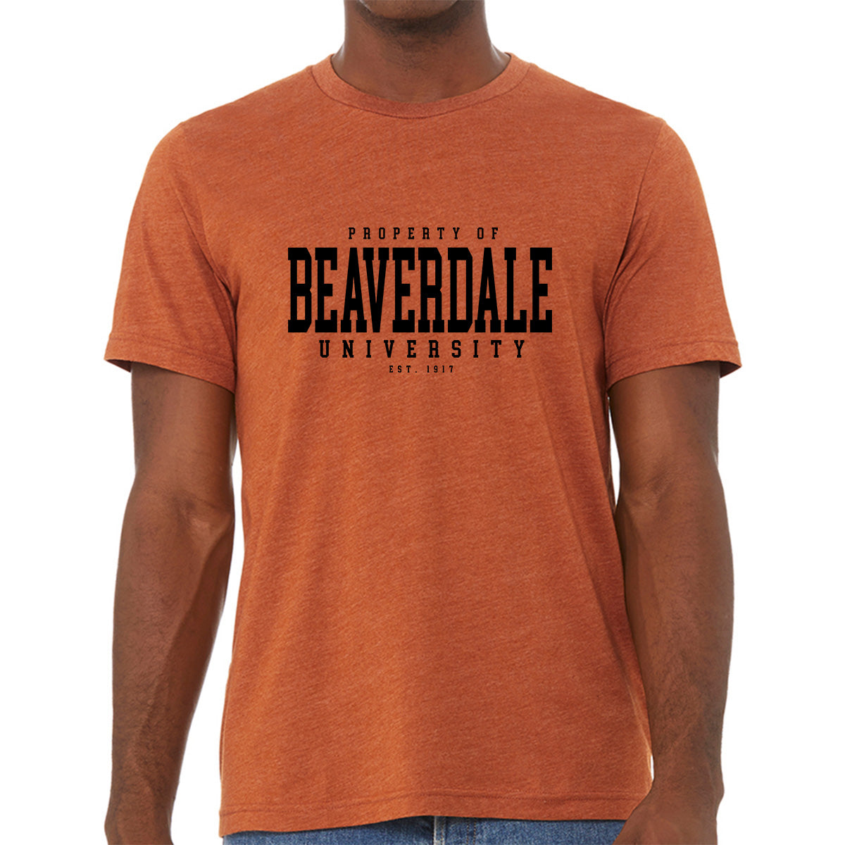 "Property of Beaverdale University" - Unisex Heather CVC T-Shirt